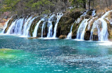 Güzel şelale ve masmavi Gölü Jiuzhaigou doğa rezerv (Jiuzhai Vadisi Milli Parkı) Sichuan Eyaleti, Çin ormanda sonbahar arasında kristal berraklığında su ile. Sonbahar orman manzara şaşırtıcı.