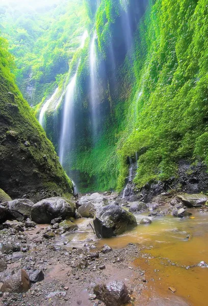 Madakaripura Waterfall is the tallest waterfall in Java and the second tallest waterfall in Indonesia. — Stock Photo, Image