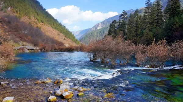 Vista Panoramica Nebbioso Paesaggio Autunnale Con Bella Cascata Fiume Montagna — Foto Stock