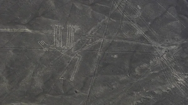 Pemandangan Udara Figur Anjing Nazca Lines Peru — Stok Foto