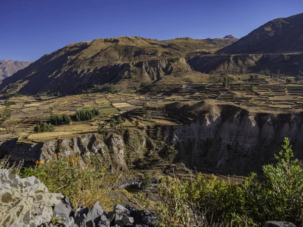 The river that crosses the valley of the Colca, Arequipa region, Peru