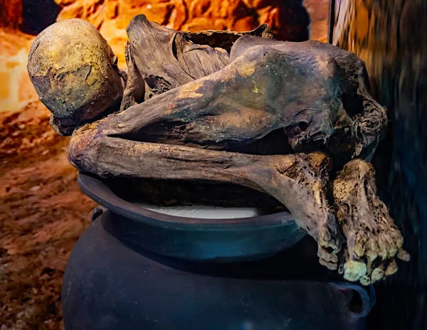Cusco, Peru 'daki Coricancha (Qoricancha) arkeolojik alanının eski tapınaklarında bulunan eski bir mumya.