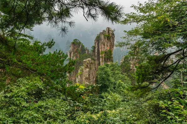 Tianzi Dağı Ndaki Ağaçların Arasından Yubi Feng Tepelerine Bakıyor Yuanjiajie — Stok fotoğraf