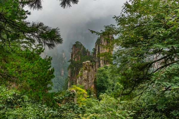 Yubi Feng Tepeleri Tianzi Dağı Ndaki Ağaçların Arasından Yuanjiajie Sahne — Stok fotoğraf