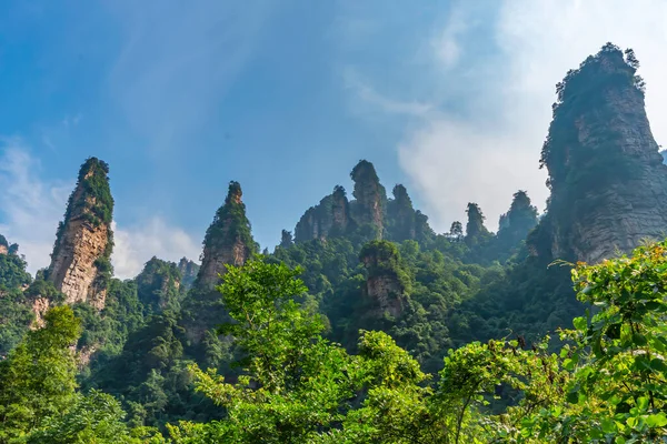 Sarı Taş Kale Panoraması (Huangshi Zhai). Kanyondan yükselen sütunlar gibi gerçeküstü kaya oluşumu. Zhangjiajie 'deki Yuanjiajie Sahne Bölgesi, Hunan, Çin