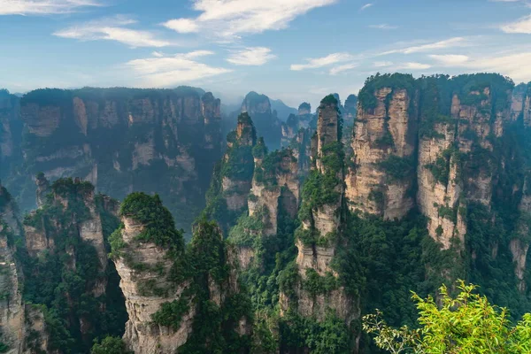 Kanyondan Yükselen Devasa Sütun Dağları Sarı Taş Kale Huangshi Zhai — Stok fotoğraf
