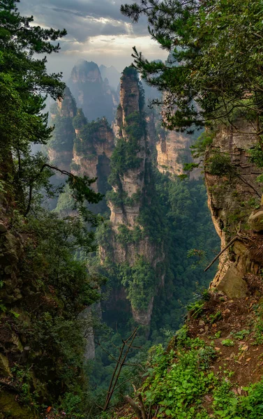 Dev kaya oluşumu. Yuanjiajie Sahne Bölgesi, Zhangjiajie Ulusal Orman Parkı, Hunan Bölgesi, Çin 'de Hallelujah adlı bir kolon dağı.. 