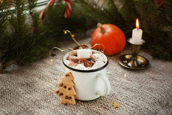 Pumpkin latte, cappuccino or cocoa with marshmallows and gingerbread on a light knitted background on the windowsill. Beautiful, tasty still life — Stock Photo, Image
