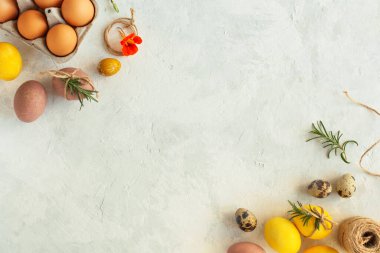 Doğal organik boyalarla boyanmış güzel, parlak Paskalya yumurtaları. Köşelerinde nesneler bulunan arka plan: organik çiğ yumurta, bıldırcın, sarı ve pembe yumurta tepsisi, taze yeşil biberiye dalları, turuncu bahçe çiçeği. Mutlu Paskalya tebrik kartları.