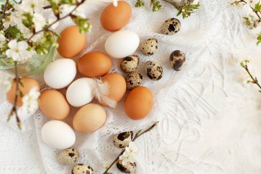 Paskalya yumurtaları Fransız usulü. Doğal renklerde tavuk ve bıldırcın yumurtası, çiçek açan kiraz ve kayısı dalları ve ince beyaz kadın şalının üzerindeki tüylerin karışımı, seçici odaklanma. Doğal yemek konsepti, klasik tema. Mevsimlik düz uzanma