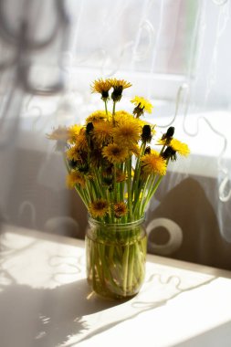 Arka planda kavanozda sarı karahindiba çiçekleri ve ince kumaş tülleri ya da perdeler. Güneşli çiçekli sakin hayat, provenkal ya da kırsal tarzda. Anneler günü ya da doğum günü tebrik kartı tasarımı