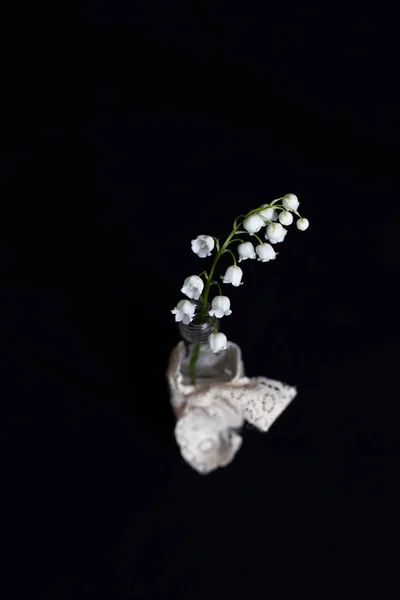 Beautiful Still Life Spring Flowers Contrasting Dark Black Background One — Stock Photo, Image
