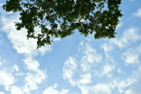 Cielo azul y nubes blancas para el fondo — Foto de Stock
