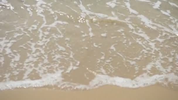 砂浜の季節の海の波夏トップビューの背景に — ストック動画