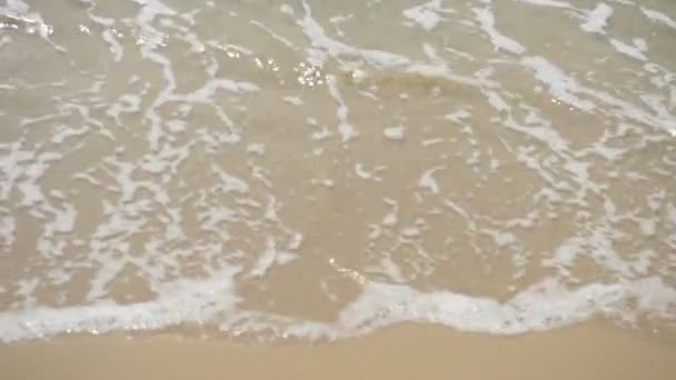 Vagues Plage Mer Sur Saison Plage Sable Fin Été Sur — Video