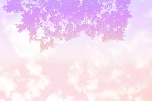 Cielo Nube Con Fondo Colores Pastel — Foto de Stock