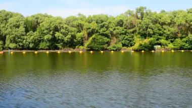 Ormanda akan nehirden manzara.  