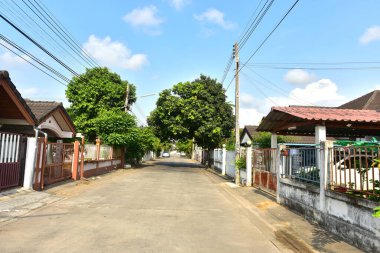 Bulanık kabuk dokusu, ağaç deseni. Güzel bir arka plan kabuğu deseni. Öğleden sonra güzel mavi gökyüzü bulutları.