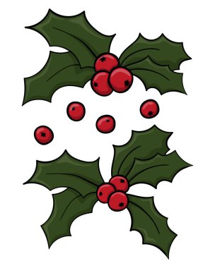 Beyaz arka planda yaprakları olan Holly Berry. Yapraklı böğürtlen seti. Yeni yıl için ekin ve mutlu Noel süslemeleri. Doğa ve botanik.