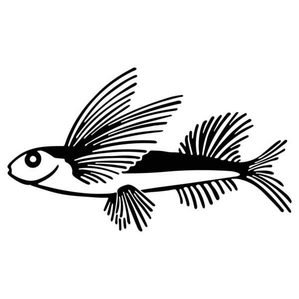 Vliegende vis geïsoleerd op witte achtergrond. Monochrome lineart cartoon vector illustratie. Handgetekende vissen isoleerden zeedieren. Ontwerp gebruikt voor winkelaquaria, oceanaria. — Stockvector