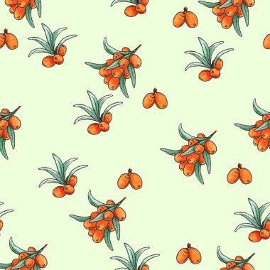 Deniz dikenli böğürtlen ve yapraklı kusursuz desen bitkisel çay paketleme için suluboya tasarımı doğal kozmetik, yağ, berryes reçeli. Koleksiyon defteri ve ambalaj kağıdı için sonsuz deniz dikenli desen