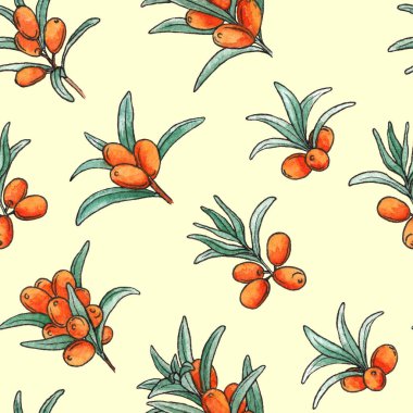 Deniz dikenli böğürtlen ve yapraklı kusursuz desen bitkisel çay paketleme için suluboya tasarımı doğal kozmetik, yağ, berryes reçeli. Koleksiyon defteri ve ambalaj kağıdı için sonsuz deniz dikenli desen