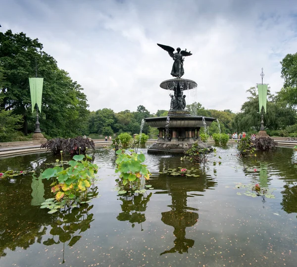 Fonte refletindo na lagoa com plantas no parque — Fotografia de Stock