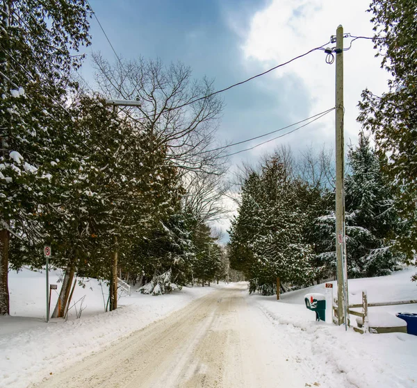 Landsbygdens, snötäckta vägen med telefonstolpe — Stockfoto