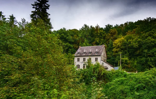Yamaca yeşil ağaçlar arasında yer alan büyük mansion house — Stok fotoğraf
