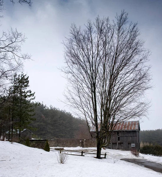 Scheune umgeben von Schnee und Bäumen — Stockfoto