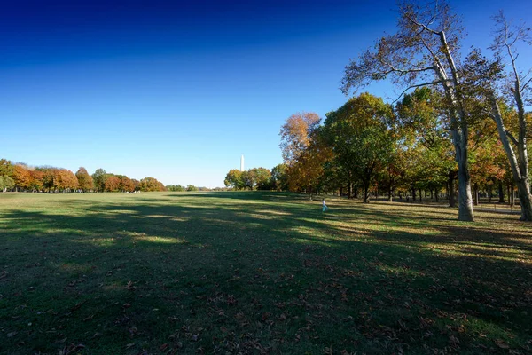 Openbaar park en groen gras door Washington obelisk — Stockfoto