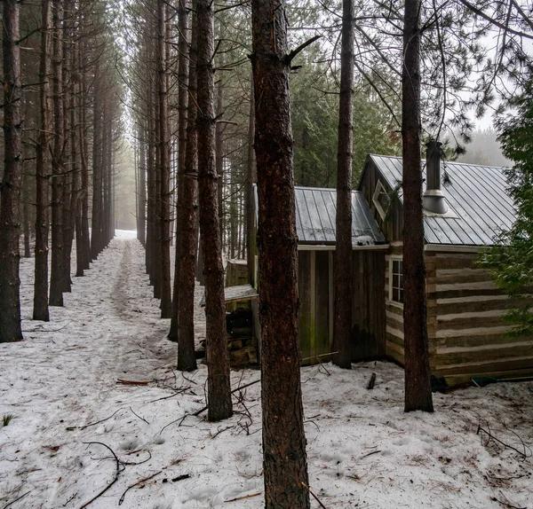 Al aire libre durante el día con cabaña en el bosque en invierno —  Fotos de Stock