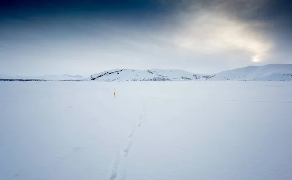 Neve paisagem coberta — Fotografia de Stock