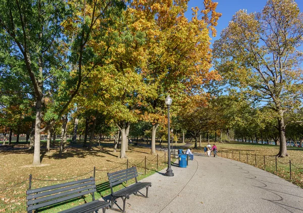 Tree lined pathway in public park in sunlight — Stock Photo, Image