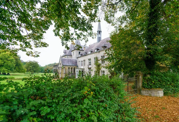 Large country house with trees and shrubs