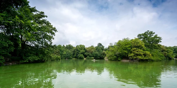 緑池と静かな木立 — ストック写真