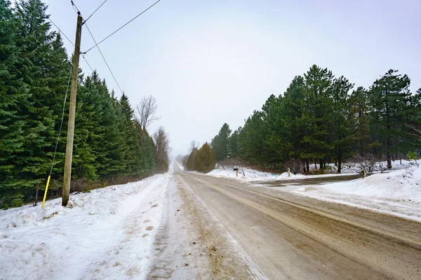 Estrada e árvores no inverno — Fotografia de Stock