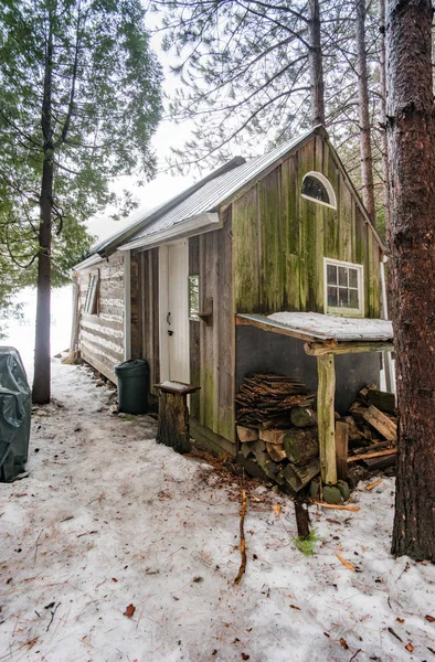 Cabine in bos in de winter — Stockfoto