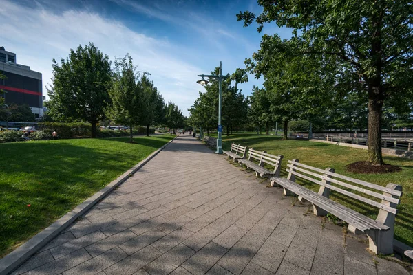 Footpath and empty benches in park with paving slabs — Stock Photo, Image