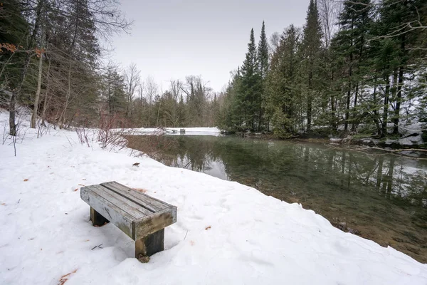 Meer in het bos in de winter — Stockfoto