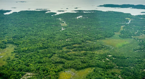 Vista de ângulo elevado das zonas húmidas durante o dia — Fotografia de Stock