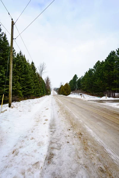 Na zewnątrz o dzień drogi i drzew zimą — Zdjęcie stockowe