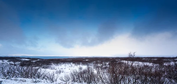 白雪覆盖的风景 — 图库照片