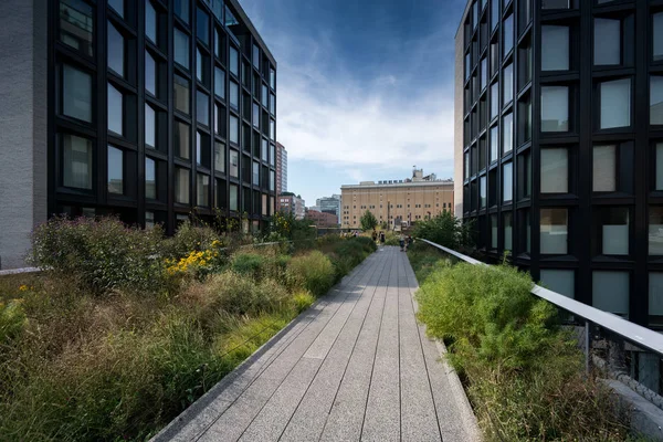 Wandelpad met planten weerszijden leidt door appartementsgebouwen — Stockfoto