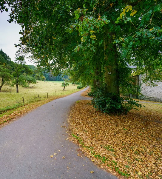 Estrada rural sinuosa através de campos — Fotografia de Stock