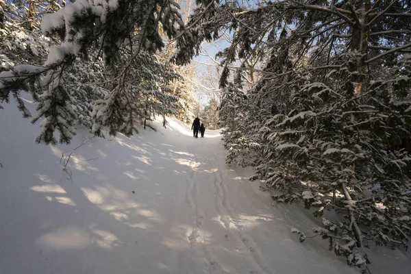 Two people walking through pathway