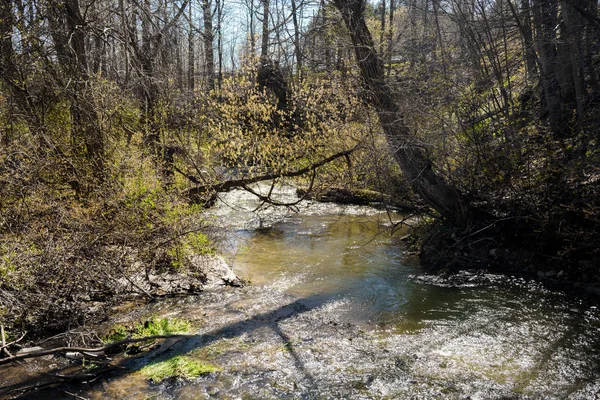 Rural setting at day — Stock Photo, Image