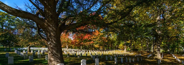 Rave stones and trees in cemetery — Stock Photo, Image