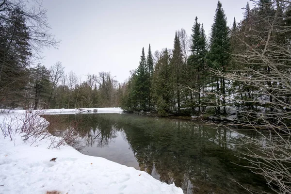 Jezero v lese v zimě — Stock fotografie