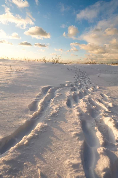 Pegadas na neve que levam para o céu azul distância — Fotografia de Stock